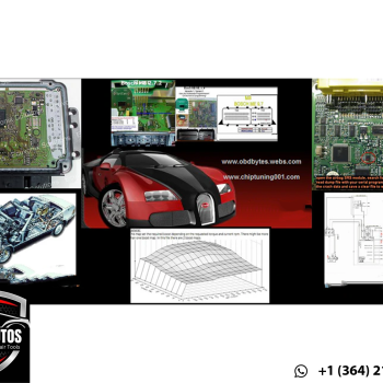 Car Chip Tuning Software – Ultimate ODO, IMMO OFF, ECU Tuning, SRS, EGR, DPF, DTC Removers Package
