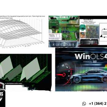 ECU Tuning Full Package (Software + Database + Manuals + Training)