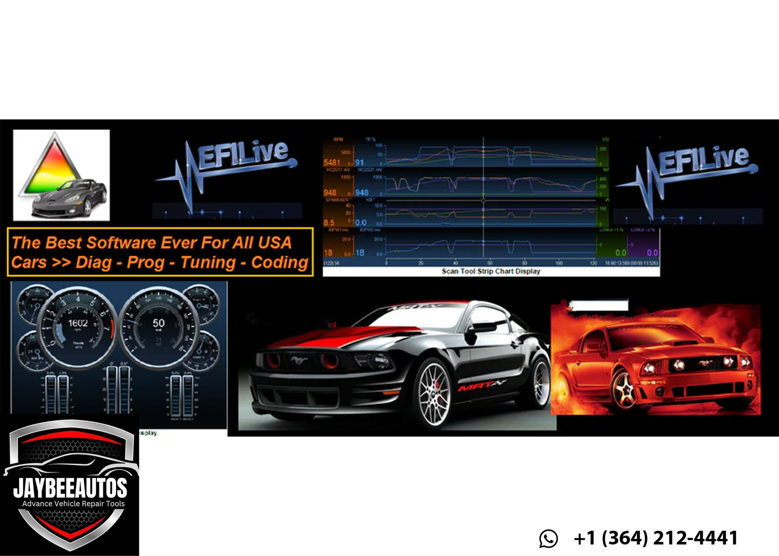 EFILive Software FULL and (Unlocked) V8.3.44 + CTZ to BIN Converter - Image 4