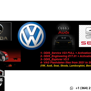 VAG Cars Diag + Prog Software Package — ODIS Service v23.01 + ODIS Engineering v17.01 + Up-to-Date FlashDaten Files