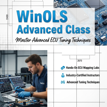 Advanced WinOLS Mastery Course