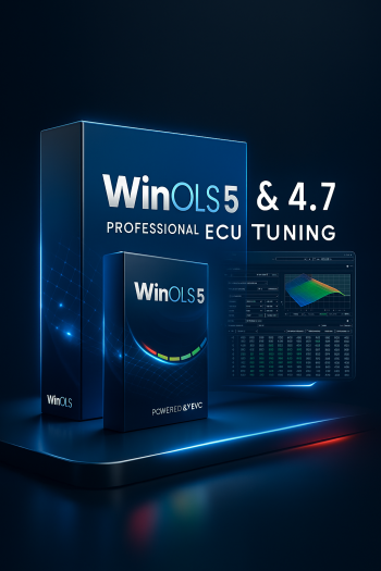 20251110_1638_WinOLS Professional Display_remix_01k9q6k9yjff8v9x14p8xtzhgq