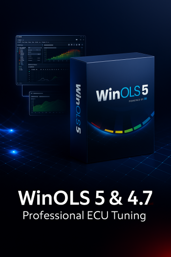 20251110_1638_WinOLS Professional Display_remix_01k9q6k9ykev7tyzcsf72e4msf