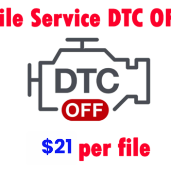 File Service DTC DPF EGR ADBLUE IMMO OFF
