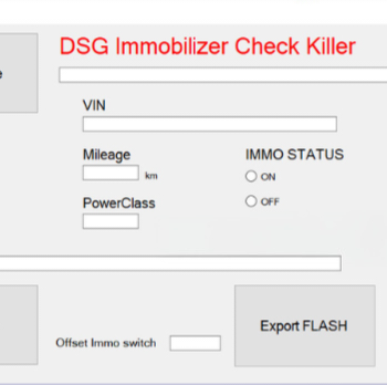 DSG IMMO CHECK KILLER Tool